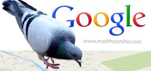 آینده گوگل با الگوریتم کبوتر گوگل